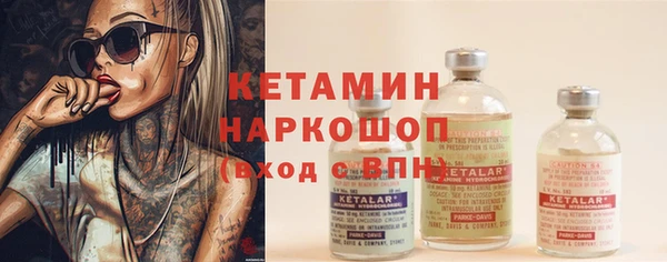 индика Богданович