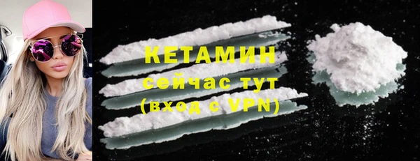 индика Богданович