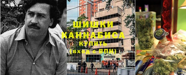 индика Богданович