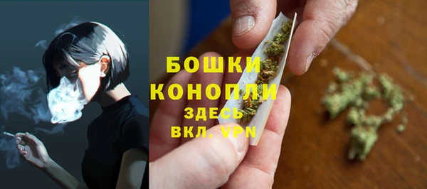 дурь Богородицк