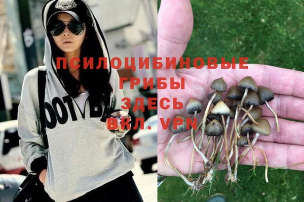 дурь Богородицк