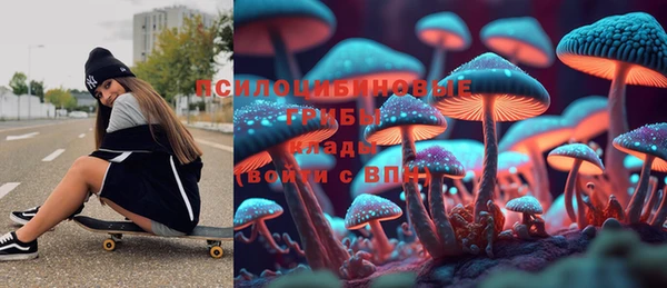 дурь Богородицк