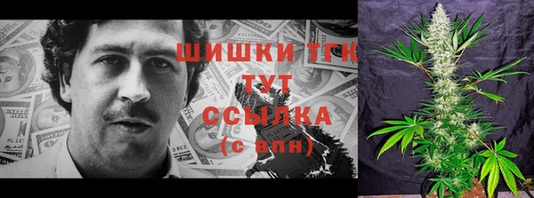 индика Богданович