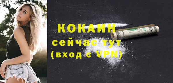 дурь Богородицк