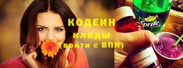 индика Богданович