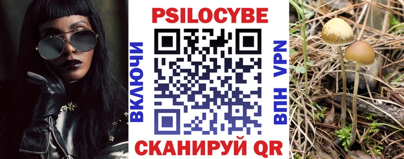 дарнет шоп  Казань  Псилоцибиновые грибы MAGIC MUSHROOMS 